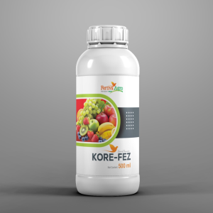 KORE-FEZ