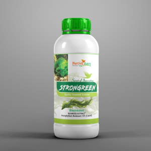 Fertiva Agro Strongreen